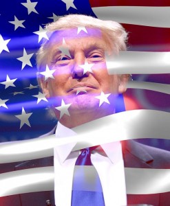 donald-trump-1301259_640